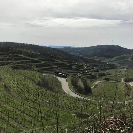 In *